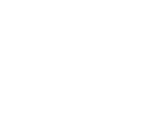 C21 Seal Cropped